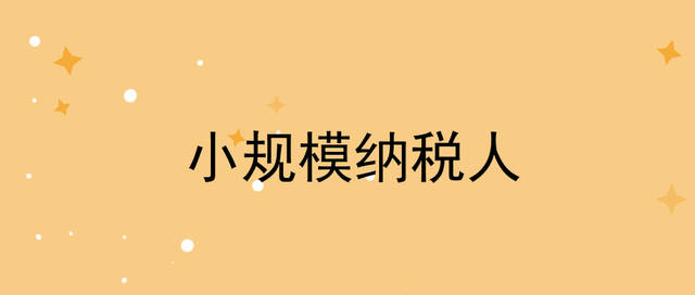 小规模纳税人,小规模纳税人和一般纳税人的区别