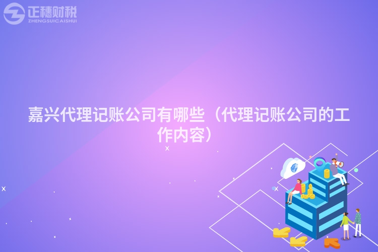 嘉兴代理记账公司有哪些（代理记账公司的工作内容）